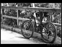 LD 1519 031 hp : Bike, Landschaft, Natur, Oesterreich, Urlaub