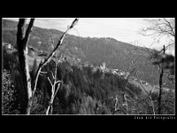 LD 1519 079 hp : Landschaft, Natur, Oesterreich, Urlaub